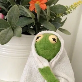 🙂 Kermit the Frog カーミット, カエル, 人形, かわいい, 緑 telegram sticker