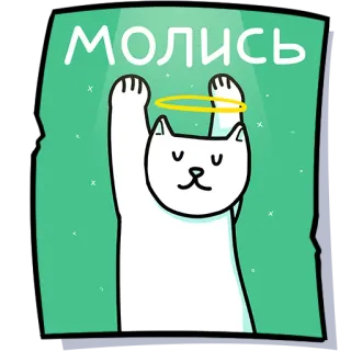 🙏 МОЛИСЬ cat, angel, halo, pray, cute, sticker, cartoon telegram sticker