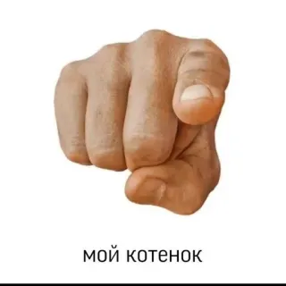 😽 МОЙ КОТЕНОК dito puntato, testo russo, gesto della mano, gatto, gattino telegram sticker