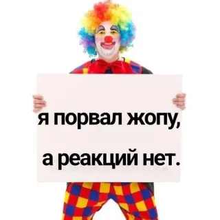 ‼️ я порвал жопу, а реакций нет. клоун, смешной, обидный, текст, шутка telegram sticker