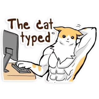 😅 The cat typed gatto, digitando, computer, divertente, gatto muscoloso, meme whatsapp sticker