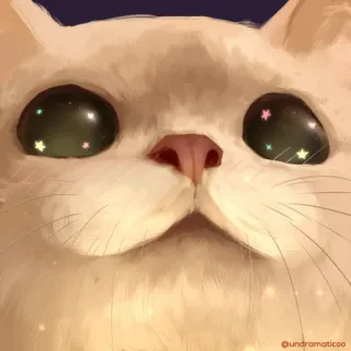 🌟 undramaticoo gato, lindo, estrellas, mascota, animal, gatito telegram sticker
