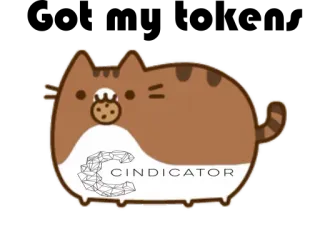 😇 Pusheen CINDICATOR gato, Pusheen, galleta, Cindicator, lindo, kawaii, pegatina whatsapp sticker