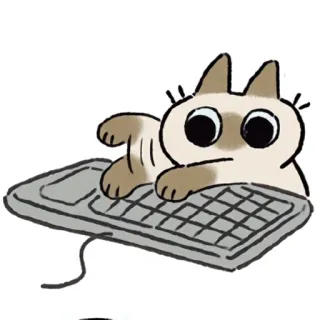⌨️ cat, keyboard, typing, animal, cute, cartoon telegram sticker