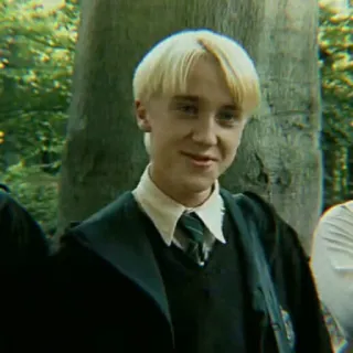 🐍 Draco Malfoy Harry Potter Draco Malfoy, Harry Potter, Slytherin, Tom Felton, Zauberer, Schüler whatsapp sticker