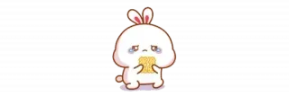 🫖 kelinci, bunny, menangis, mi, sedih, kartun, imut telegram sticker