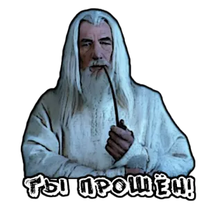 😶 Gandalf Lord of the Rings ТЫ ПРОШЁЛ! magicien, pipe, barbe, Seigneur des Anneaux, Gandalf telegram sticker