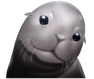 🔼 phoque, animal, mignon, mème, drôle whatsapp sticker