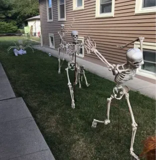 😱 esqueleto, halloween, decoração jardim, jardim, outono, assustador, decoração, ossos telegram sticker