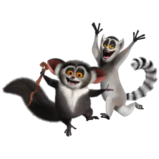 👬 lemure, Madagascar, cartone animato, animato, animale telegram sticker