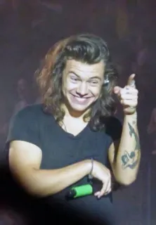 😆 Harry Styles harry styles, singer, one direction, musician, celebrity telegram sticker