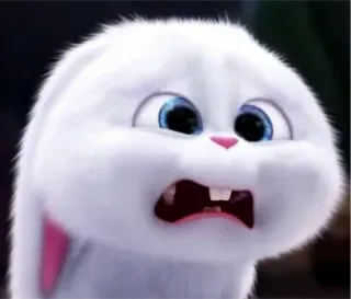 😕 Snowball The Secret Life of Pets rabbit, cute, bunny, white, animal, pet telegram sticker