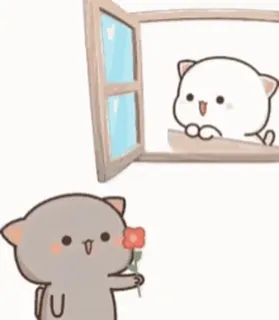 🌹 แมว, ลูกแมว, ดอกไม้, หน้าต่าง, น่ารัก, ความรัก, ของขวัญ whatsapp sticker