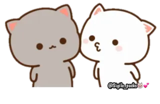 😘 @Sigilo_packs kot, słodki, para, kreskówka, brzoskwinia, mochi whatsapp sticker