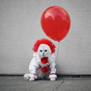 🌝 Pennywise It gato, palhaço, pennywise, it a coisa, terror, filme, balão, animal de estimação whatsapp sticker