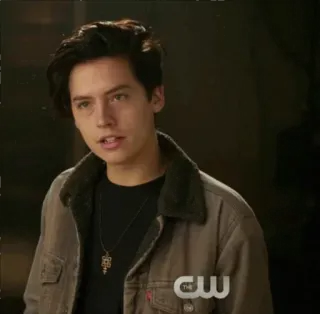 🖤 Jughead Jones Riverdale série de TV, drama adolescente, Jughead, Riverdale, Cole Sprouse telegram sticker