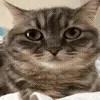 😐