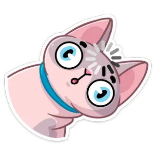 😳 cat, funny, cute, sphynx, cartoon, animal telegram sticker