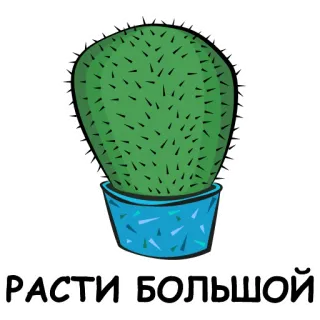 💪 РАСТИ БОЛЬШОЙ cactus, planta, creciendo, crecer, grande telegram sticker