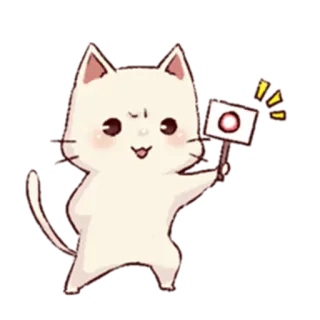 Frown cat whatsapp stickers
