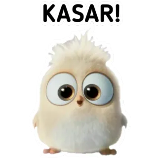 🙃 KASAR! pájaro, lindo, pegatina, dibujo animado, animal telegram sticker