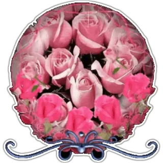 🌹 flower, roses, pink, bouquet, floral whatsapp sticker