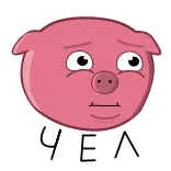 😕 Чел 돼지, 만화, 동물, 분홍색, 얼굴 telegram sticker