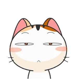😏 mèo, nhãn dán, hoạt hình, dễ thương, động vật telegram sticker