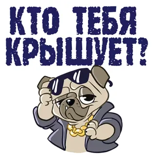 😒 КТО ТЕБЯ КРЫШУЕТ? perro, pug, gafas de sol, gángster, dibujos animados, ruso telegram sticker