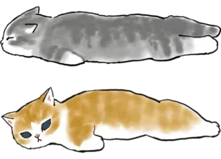 🥱 cat, kitten, animal, sleep, pet telegram sticker