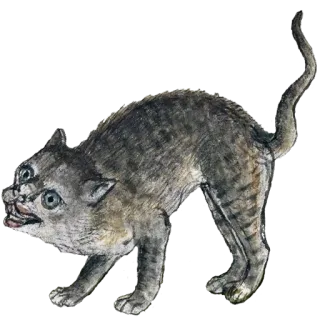 😬 gato, animal, criatura, fantasía, monstruo, raro whatsapp sticker