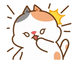 🐰 고양이, 귀여운, 신나는, 행복한, 동물 whatsapp sticker