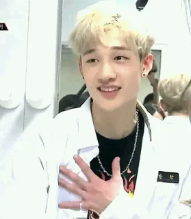 Chan MEMES😹 @ItzHadid whatsapp stickers