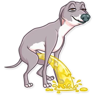 🚽 หมา, เกรย์ฮาวด์, ฉี่, สัตว์, สัตว์เลี้ยง, การ์ตูน whatsapp sticker
