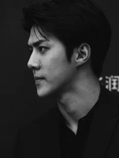 ➖ homem, preto e branco, retrato, rosto, perfil, coreano telegram sticker