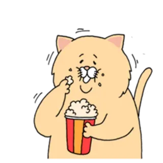 😳 cat, popcorn, watching, cute, cartoon, animal, entertainment telegram sticker