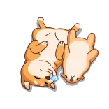 😴 dogs, cute, shiba inu, animals, sleeping whatsapp sticker