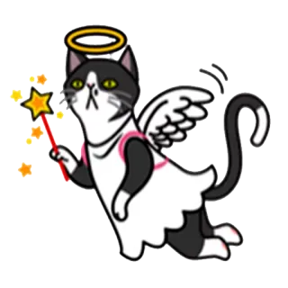 😇 кот, ангел, милый, крылья, нимб, магия, фея whatsapp sticker
