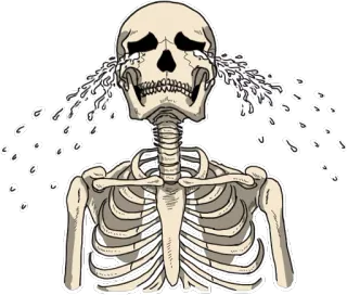 😭 โครงกระดูก, ร้องไห้, เศร้า, น้ำตา, อารมณ์, ความตาย, กระดูก telegram sticker