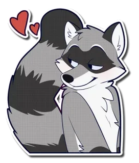 😘 енот, мультфильм, животное, милый, стикер, пушистый whatsapp sticker