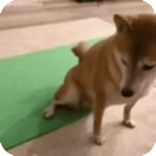 🌟