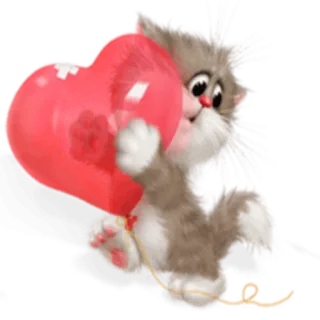 🎈 gato, coração, animal, amor, fofo, desenho animado whatsapp sticker