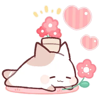🌸 cat, flowers, heart, cute, pet, animal telegram sticker