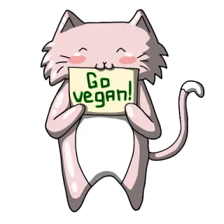 котикитопор telegram stickers