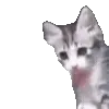 meme telegram emojis 😺