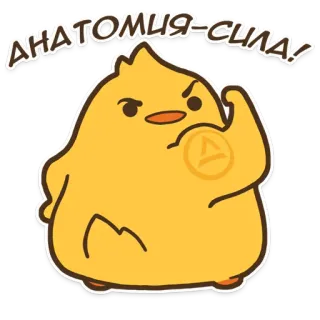 💪 АНАТОМИЯ-СИЛА! Tier, Küken, Muskel, Anatomie, Stärke, Cartoon telegram sticker