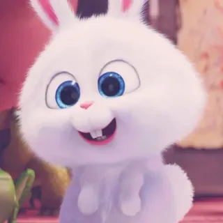 🎟 Snowball The Secret Life of Pets lapin, lapinou, mignon, animal de compagnie, animal, dessin animé whatsapp sticker