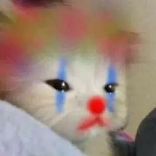 🐾 cat, clown, animal, pet, funny, cute, meme telegram sticker