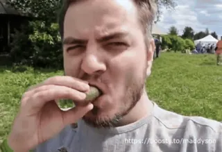 🥒 https://boosty.to/maddyson telegram sticker