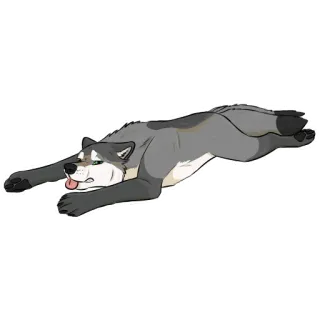 😵 perro, husky, animal, mascota, acostado, dibujo animado, ilustración whatsapp sticker